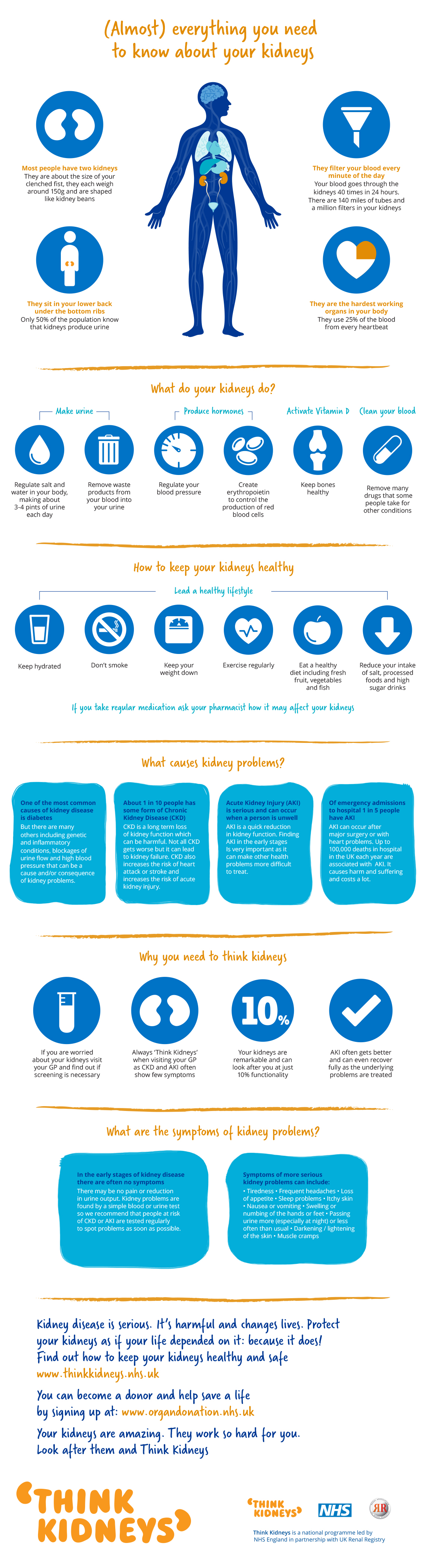 160303_Think Kidneys_Infographic_AW3.0